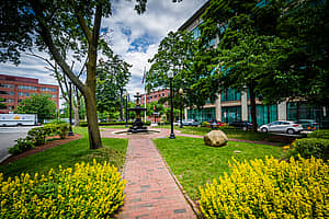 a brick walkway with shrubs at Lobby Place Park at Johnson and Wales University, in Providence, Rhode Island.