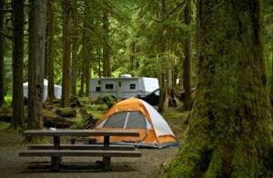orange tent in a wooded campground