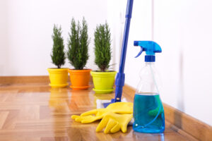 cleaning supplies including a spray bottle sit on a hardwood floor