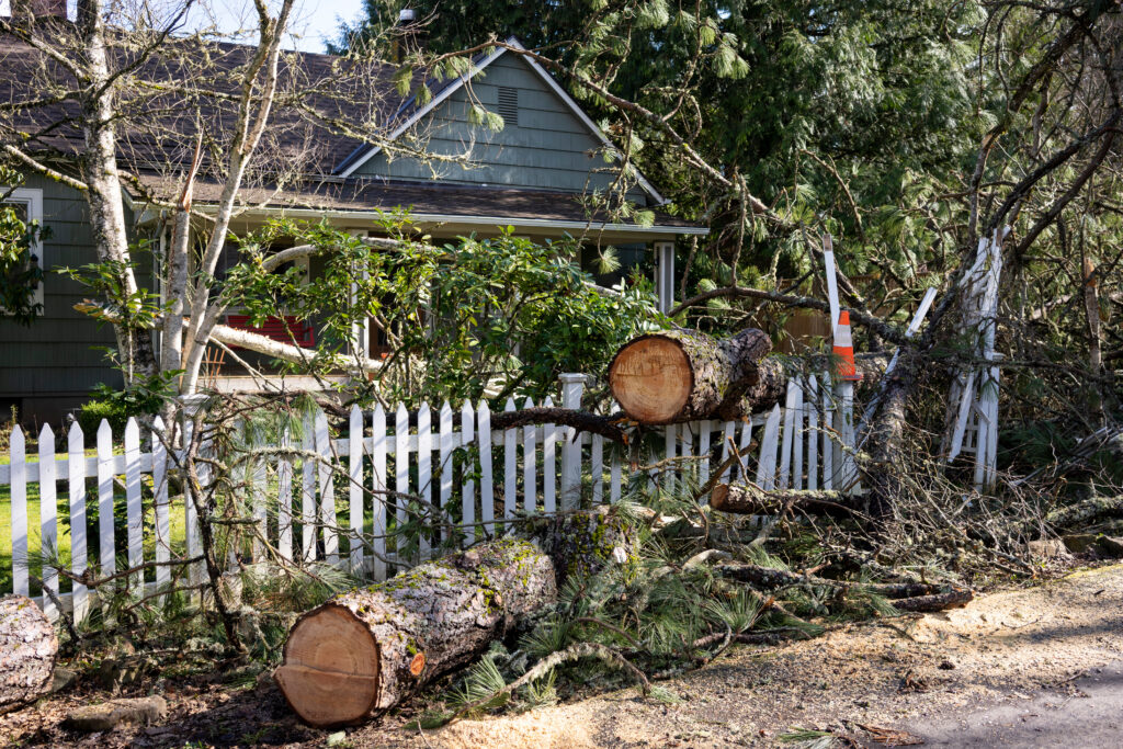 home damaged due to trees falling onto property