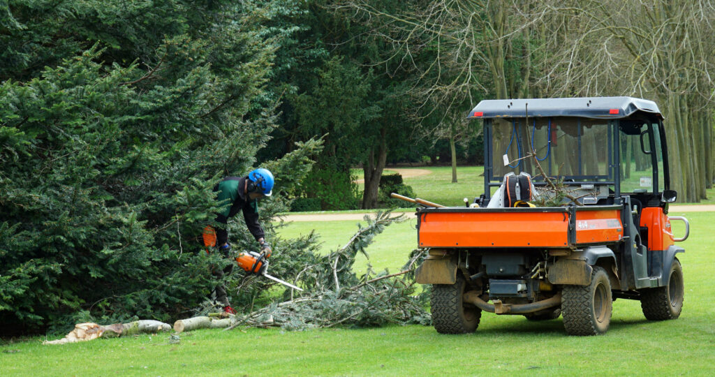 A landscaper works on tree cleanup